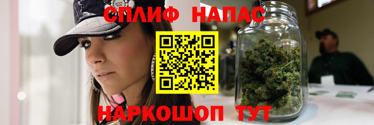 Бошки Шишки план Тимашёвск